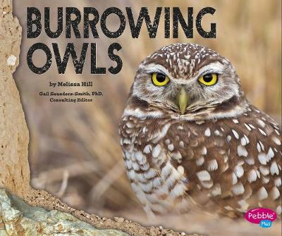 Burrowing Owls