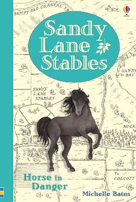 Sandy Lane Stables Horse in Danger