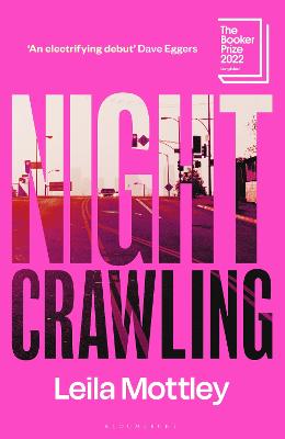 Nightcrawling: 'An electrifying debut' by Leila Mottley