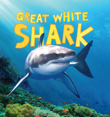 Discover Sharks: Great White Shark