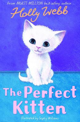 The Perfect Kitten
