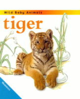 Tiger Cub
