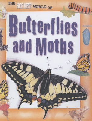 The Secret World of: Butterflies and Moths