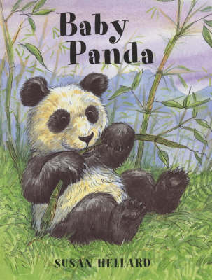 Baby Panda