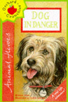 Dog in Danger