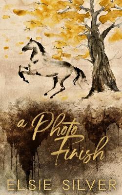 A Photo Finish: A Small Town Second Chance Romance by Elsie Silver