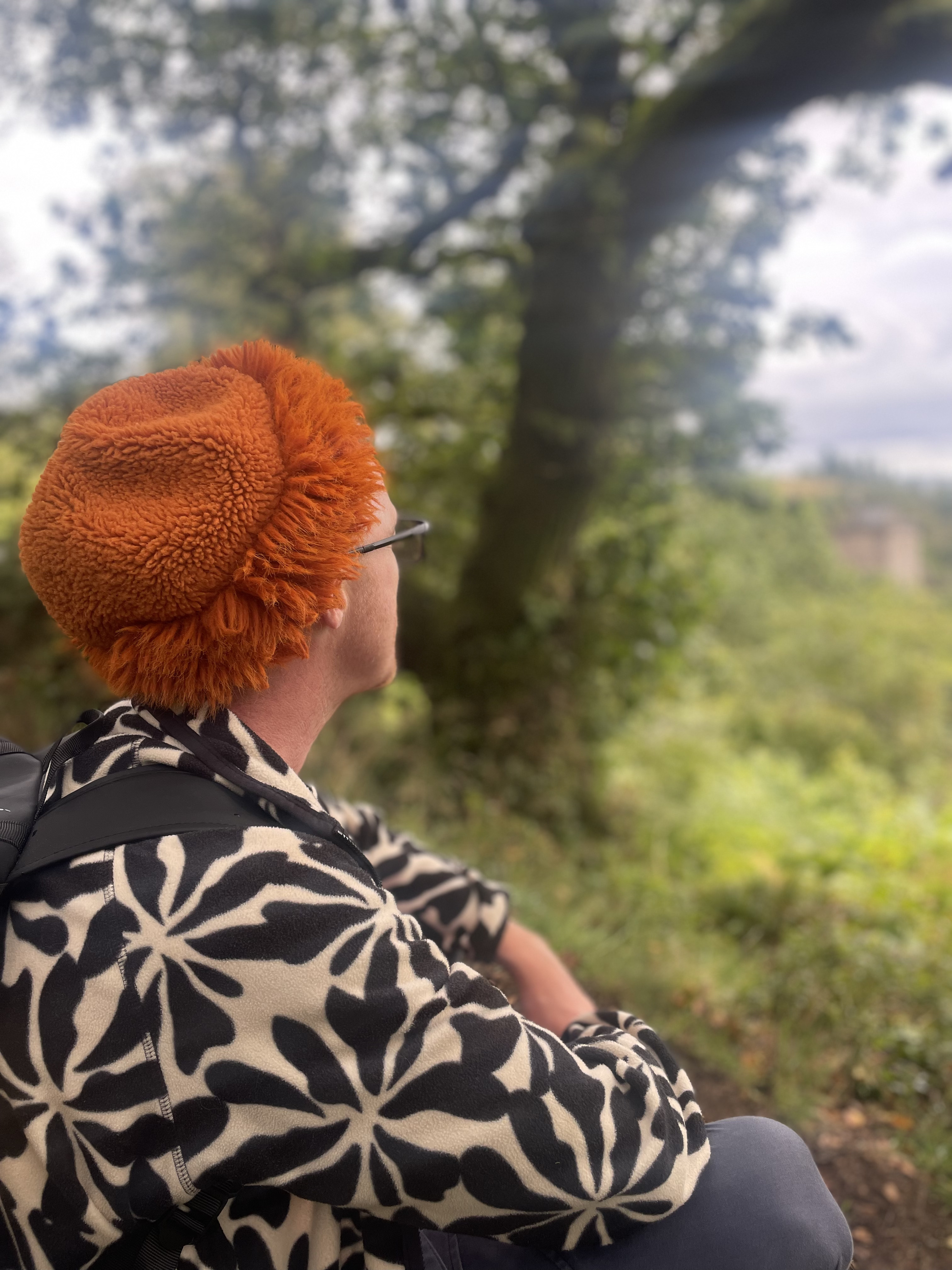 GINGERBEARD