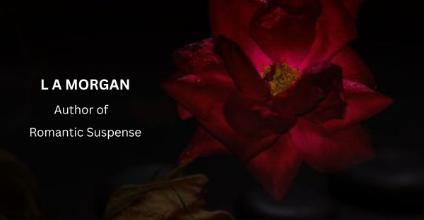 Romantic suspense series