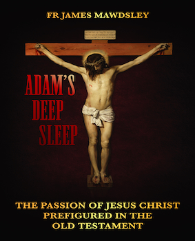 Adam's Deep Sleep