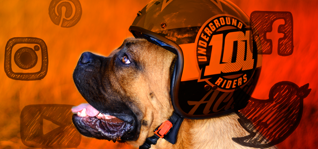 Curiosidades moteras en Internet que no te puedes perder