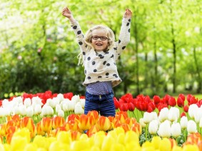 Dagtocht Keukenhof Dagtocht Keukenhof