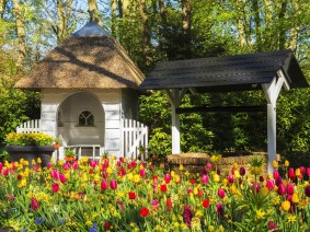 Dagtocht Keukenhof Dagtocht Keukenhof