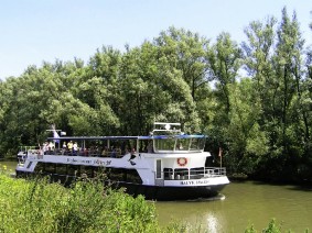 Dagtocht Biesbosch Dagtocht Biesbosch