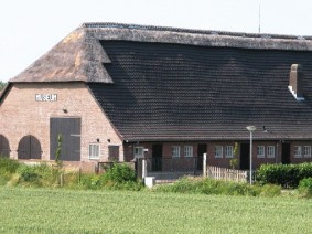 Dagtocht Biesbosch Dagtocht Biesbosch