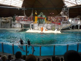 Schoolreis Dolfinarium (basisschool) Schoolreis Dolfinarium (basisschool)