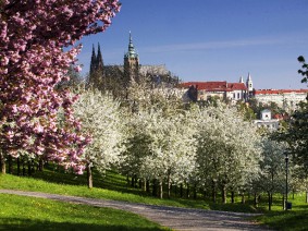 5-daagse groepsreis Praag 5-daagse groepsreis Praag