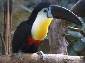 Dagtocht Tropical Zoo Dagtocht Tropical Zoo