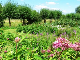 Dagtocht Edelherten & 't Paradijs van Waspik Dagtocht Edelherten & 't Paradijs van Waspik