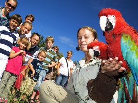 Schoolreis Avifauna Schoolreis Avifauna
