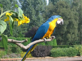 Schoolreis Avifauna Schoolreis Avifauna