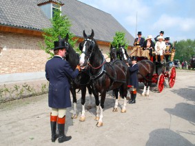 Dagtocht Koets en paard (verkort) Dagtocht Koets en paard (verkort)