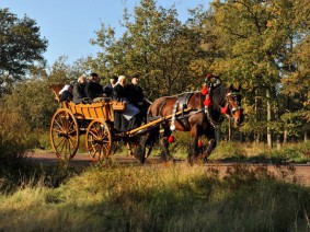 Dagtocht Koets en paard (verkort) Dagtocht Koets en paard (verkort)