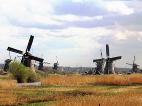 Dagtocht Alblasserwaardse gastvrijheid en paardentram Dagtocht Alblasserwaardse gastvrijheid en paardentram