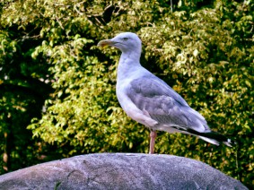 Schoolreis ZOO Antwerpen Hoger onderwijs Schoolreis ZOO Antwerpen Hoger onderwijs