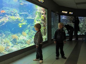 Dagtocht Zee aquarium en Schoorl Dagtocht Zee aquarium en Schoorl