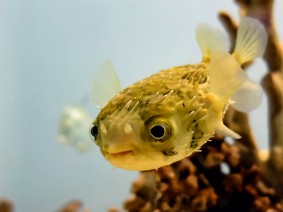 Dagtocht Zee aquarium en Schoorl Dagtocht Zee aquarium en Schoorl