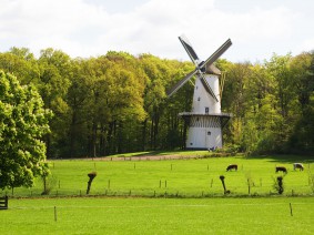 Schoolreis Nederlands Openluchtmuseum (voortgezet onderwijs) Schoolreis Nederlands Openluchtmuseum (voortgezet onderwijs)