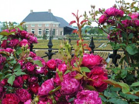 Dagtocht Het Roozenhuys en de Kasteeltuinen van Arcen Dagtocht Het Roozenhuys en de Kasteeltuinen van Arcen