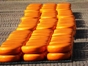 Avondkaasmarkt Alkmaar busreis dagtocht Avondkaasmarkt Alkmaar busreis dagtocht