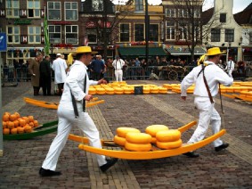 Avondkaasmarkt Alkmaar busreis dagtocht Avondkaasmarkt Alkmaar busreis dagtocht