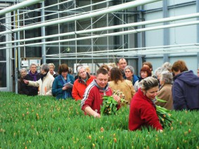 Dagtocht Tulpenexcursie en Agriport Dagtocht Tulpenexcursie en Agriport