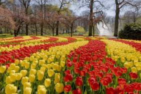 Keukenhof Keukenhof