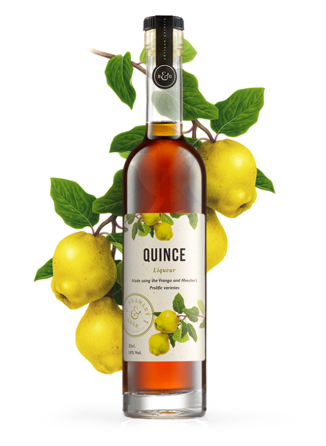 Quince Liqueur (35cl) 18 ABV. 6 O'clock Gin