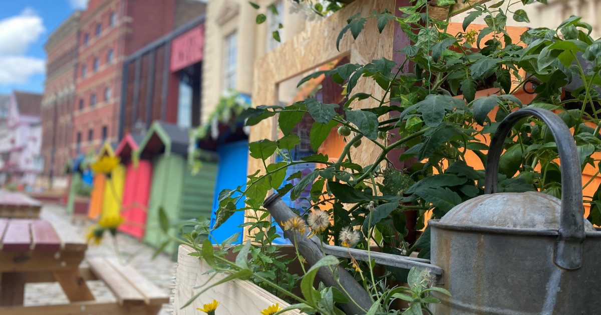 The Community Greenhouse on King Street Bristol Old Vic