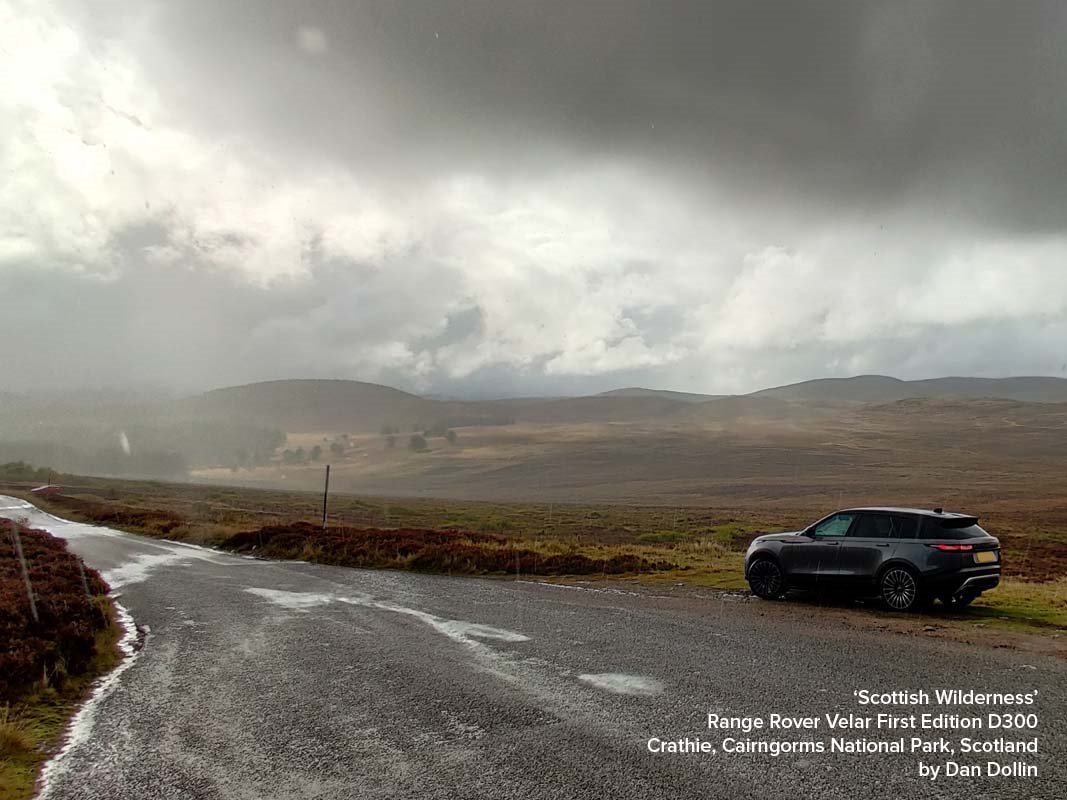 7+ D300 calendar 2022 image ideas