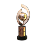 Strategic Leadership Development Award
