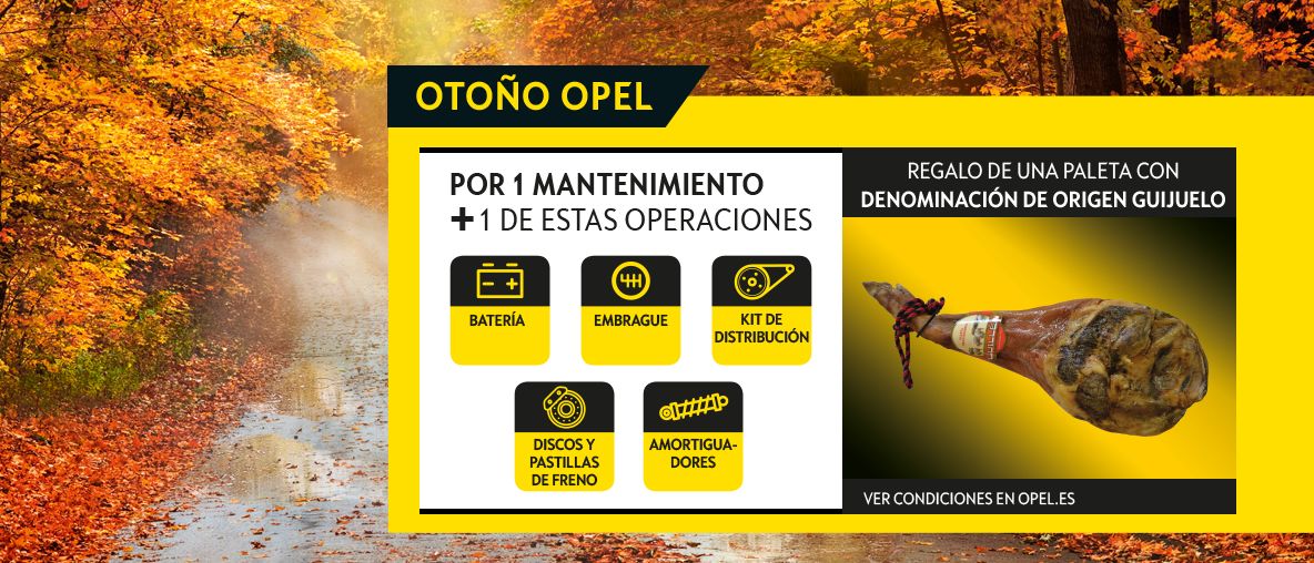 Otoño Opel