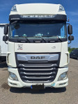 daf 1.jpg