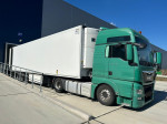 man verde 1.jpg