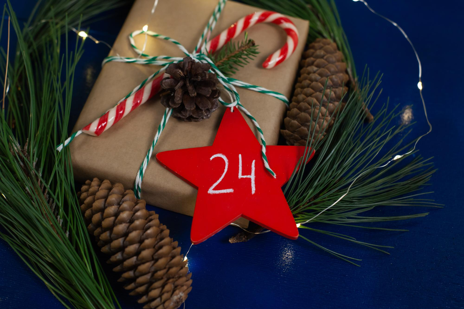 Program BursaTransport – 24 Decembrie