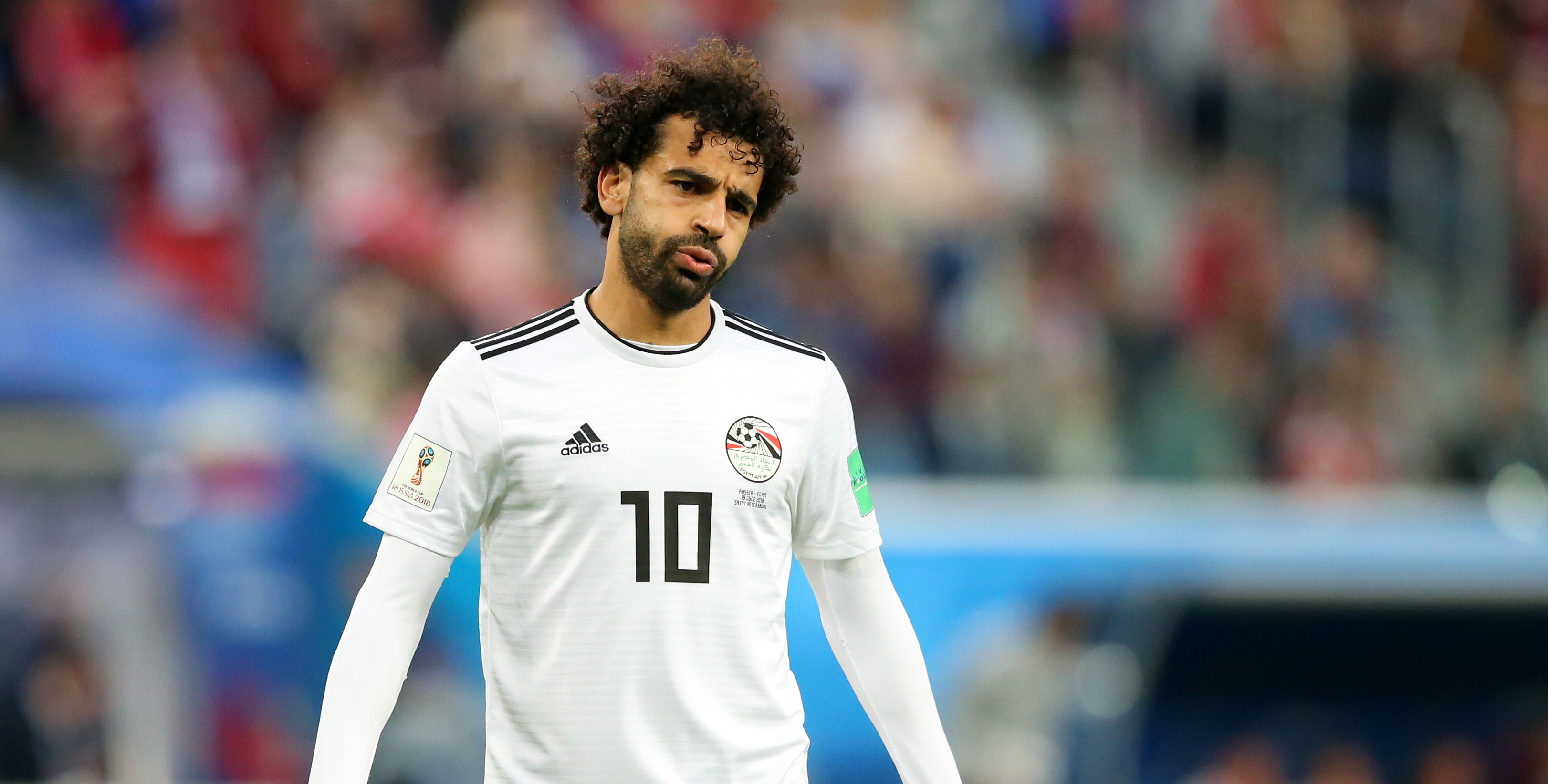 Ägypten Saudi Arabien Prognose Ägypten Saudi Arabien Prognose