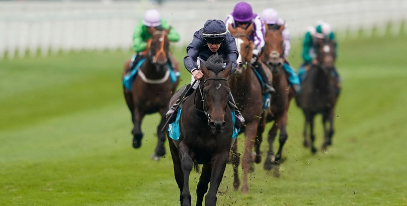 Sir Dragonet is among the Epsom Derby runners