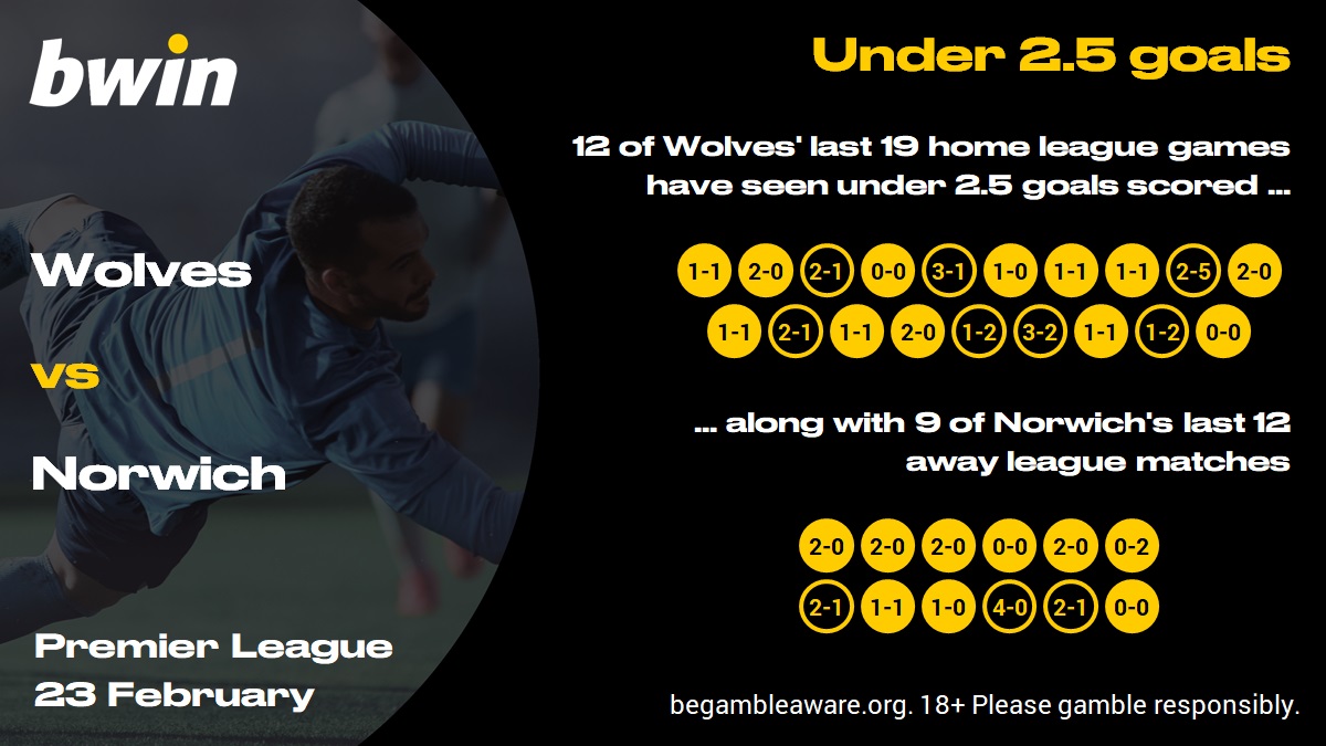 Wolves vs Norwich Prediction, Betting Tips & Odds 23/02/2020 bwin