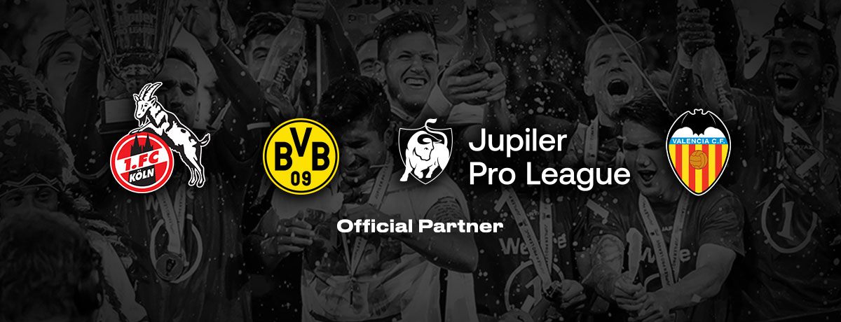 bwin Official Partners | Sponsorships