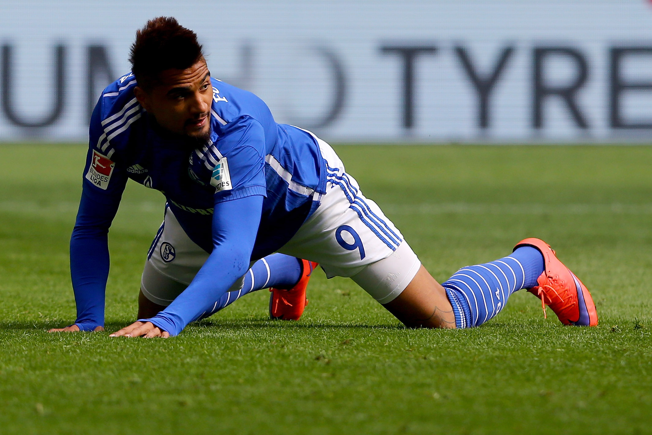 FC Schalke 04 v VfB Stuttgart - Bundesliga