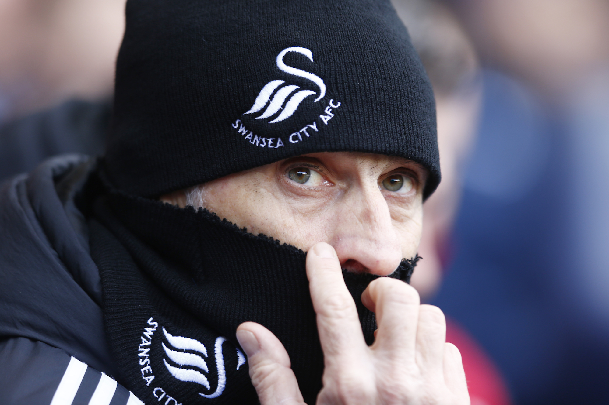 Francesco Guidolin, alla sua prima stagione sulla panchina dello Swansea